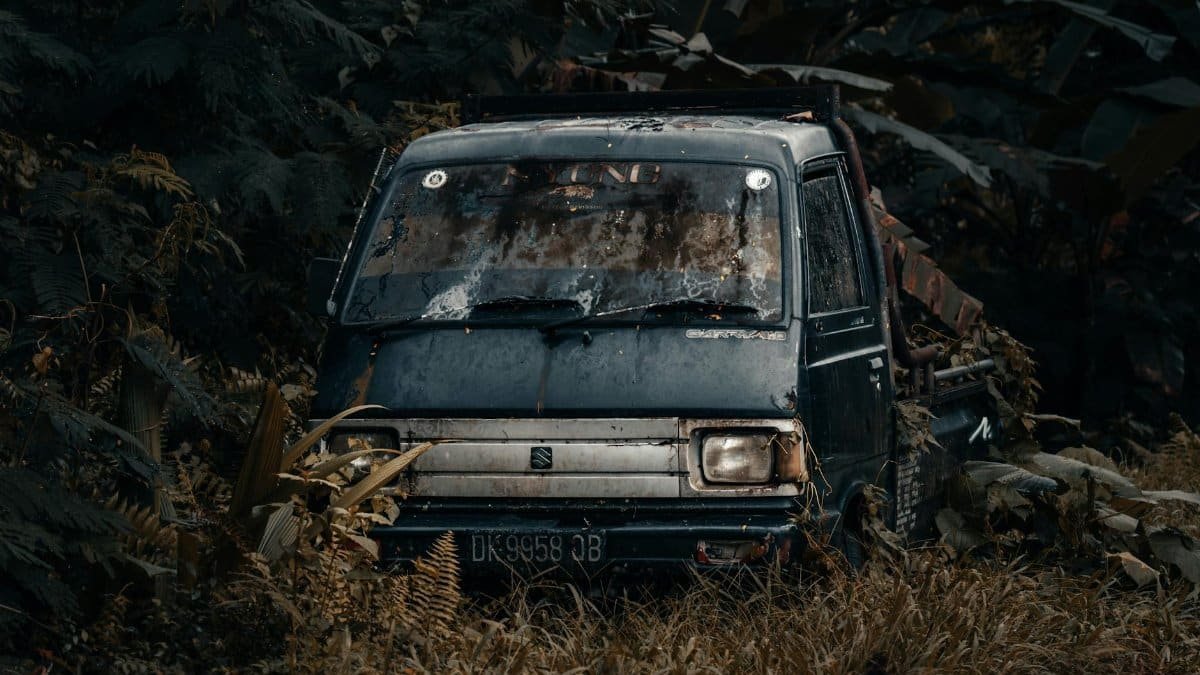 A rusted truck abandoned amidst dense wild foliage in Indonesia, creating an eerie, forgotten scene.