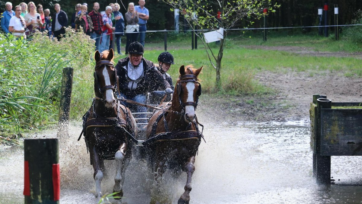 Exciting scene of a horse carriage splashing through water in a competitive race setting.