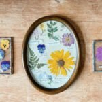 Artistic arrangement of pressed flowers in frames on wooden background, showcasing botanical diversity.