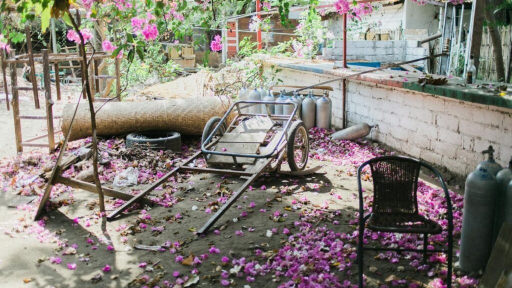 A quiet backyard scene with scattered pink petals and rustic elements, evoking tranquility and nature's charm.