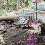 A quiet backyard scene with scattered pink petals and rustic elements, evoking tranquility and nature's charm.