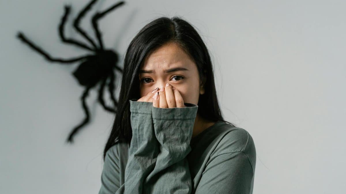 An anxious woman indoors with a large wall spider, depicting arachnophobia.