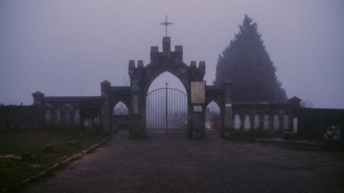 Mysterious foggy cemetery entrance with a metal gate and stone arch at dawn.