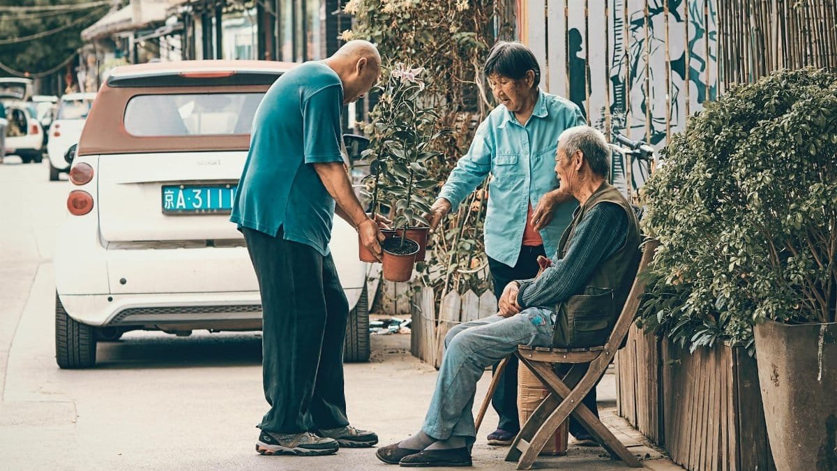 Elderly men engaging in conversation on a street in Beijing, surrounded by plants and urban life. Captured candidly.