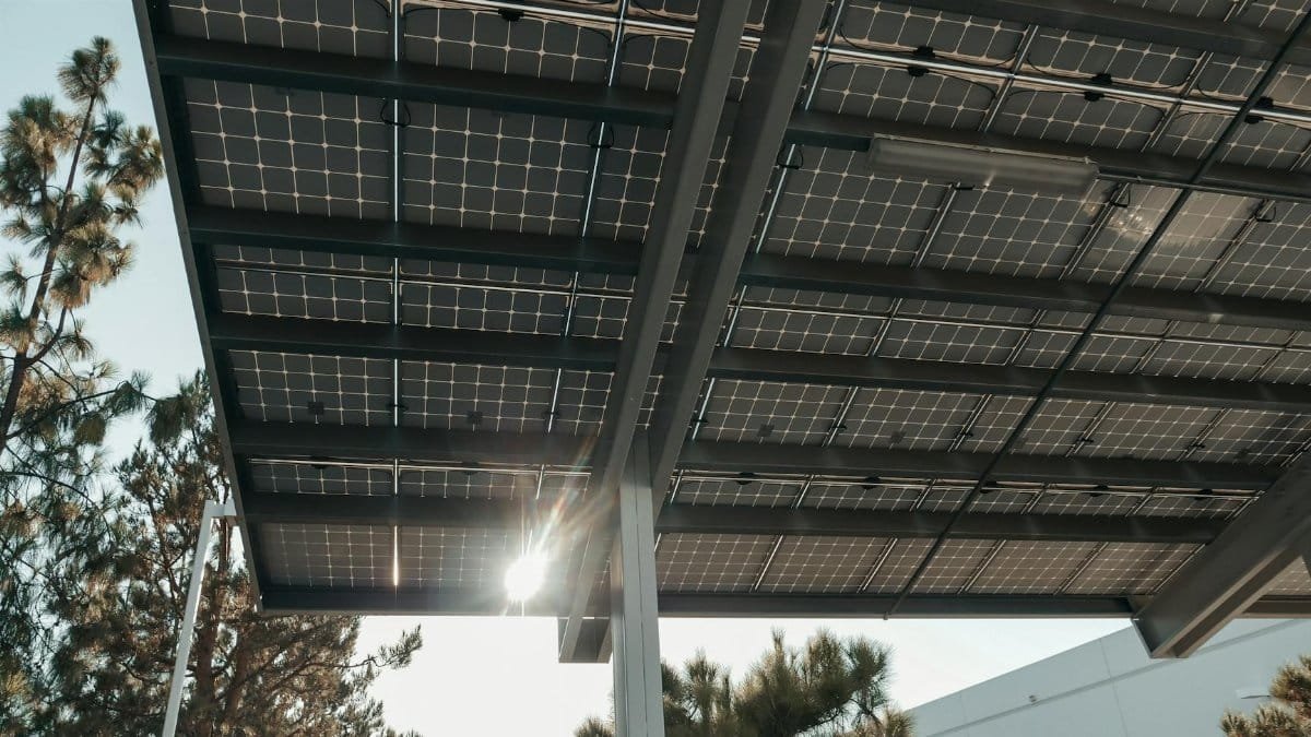 Low angle shot of solar panels with sun shining through, illustrating renewable energy concept.