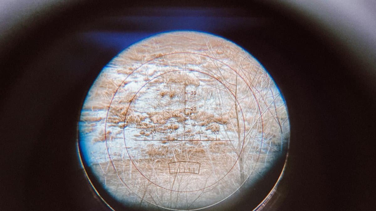 Telescope lens view capturing a textured nature scene with crosshairs.