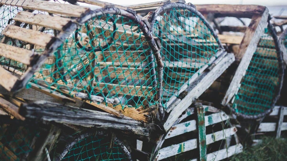 Close-up of old wooden lobster traps stacked outdoors with green nets.