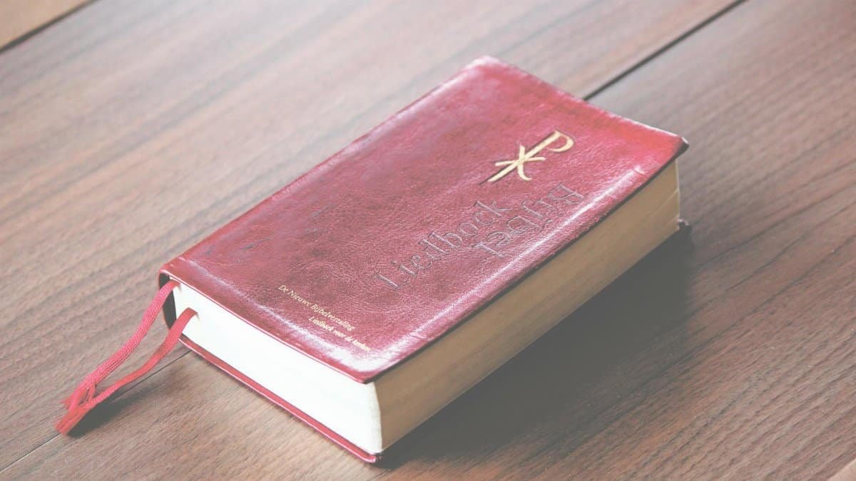 A red vintage-style Bible with ornate design lies on a wooden table, symbolizing knowledge and spirituality.