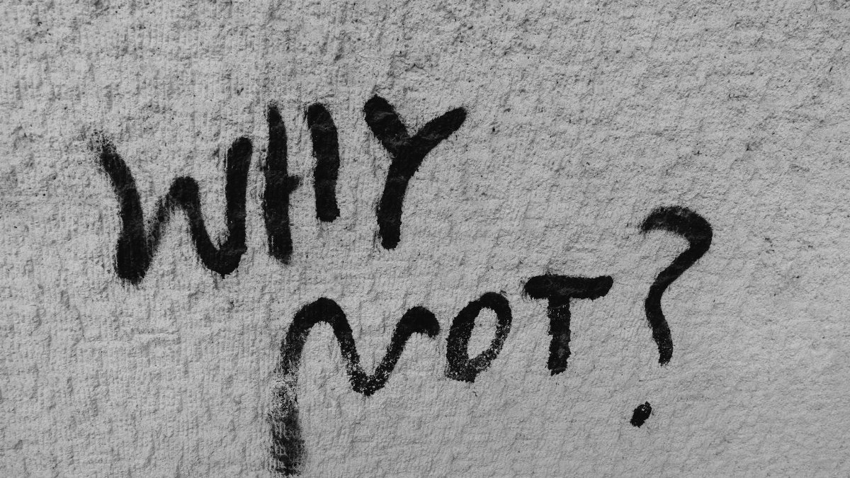 Black graffiti reading 'Why Not?' on a rough wall texture, inspiring curiosity.