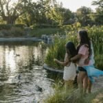 A family enjoys a tranquil afternoon in the park by a pond with ducks under soft sunlight.