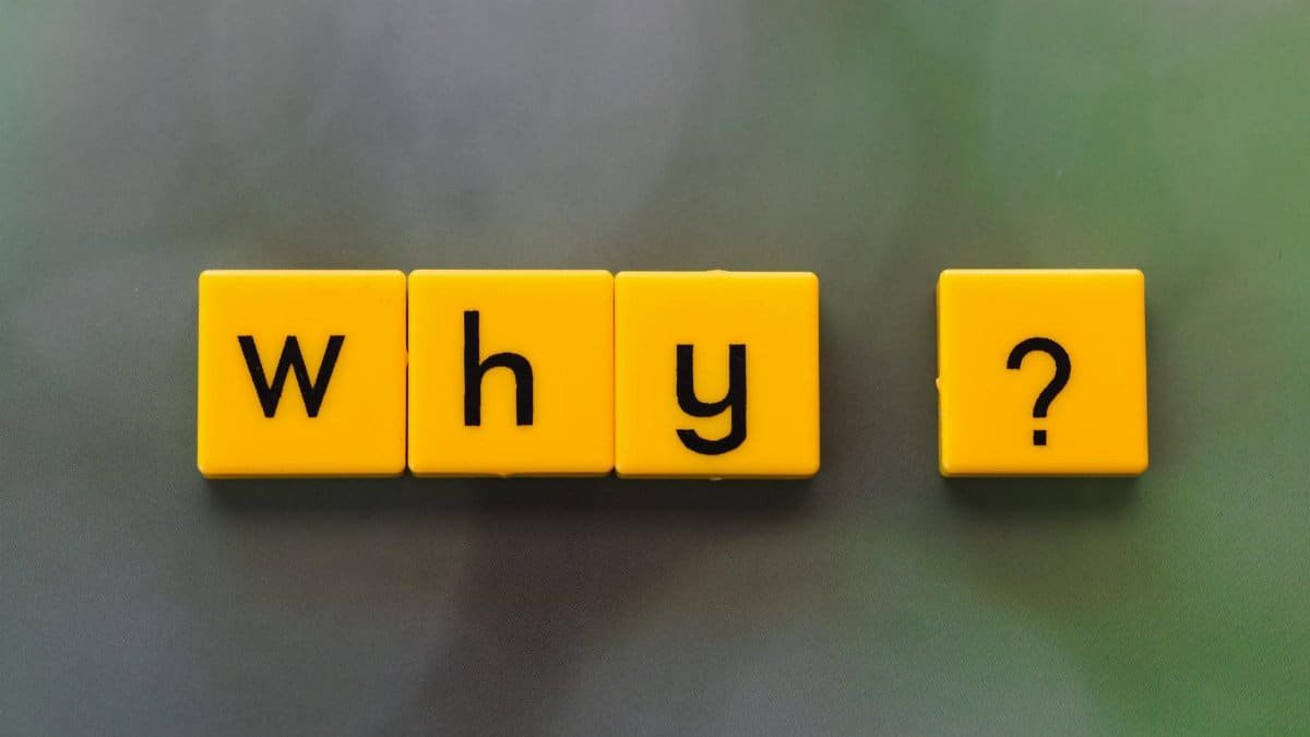 Yellow letter tiles spelling 'why?' create a thought-provoking scene on a green blurred background.