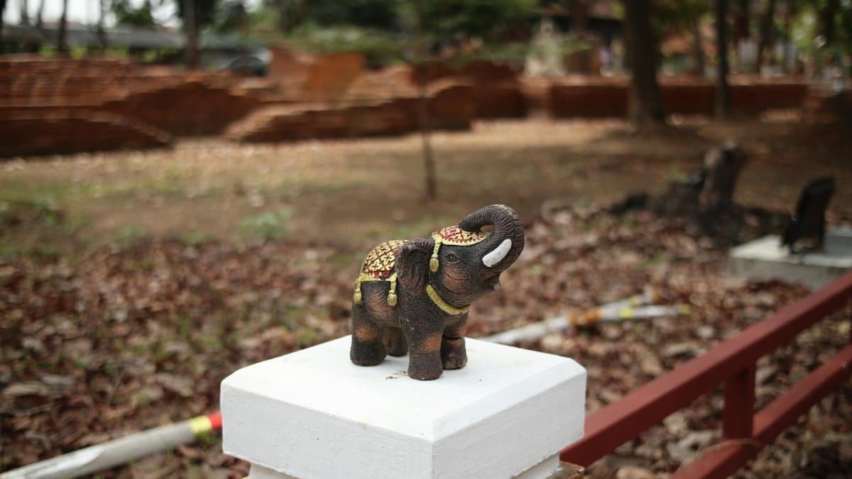 Free stock photo of 1 8mm prime lens, achieving sharpness, after market lenses