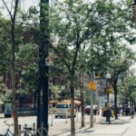 A lively city street lined with trees, bicycles, and pedestrians on a sunny day.