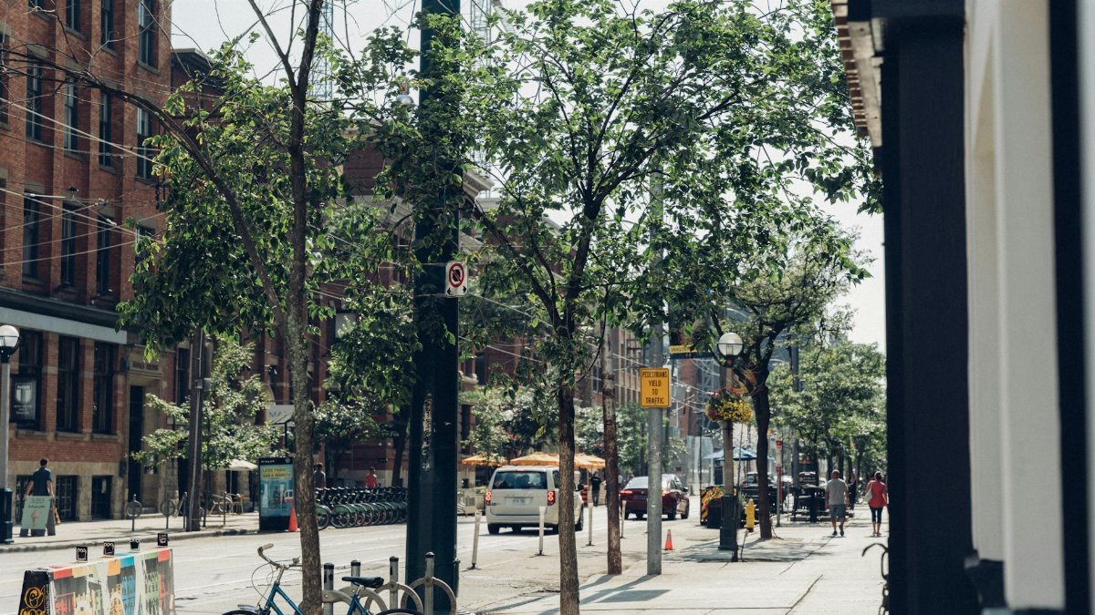 A lively city street lined with trees, bicycles, and pedestrians on a sunny day.