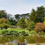 Serene summer day at Golden Gate Park, San Francisco, with people enjoying nature by the lake.