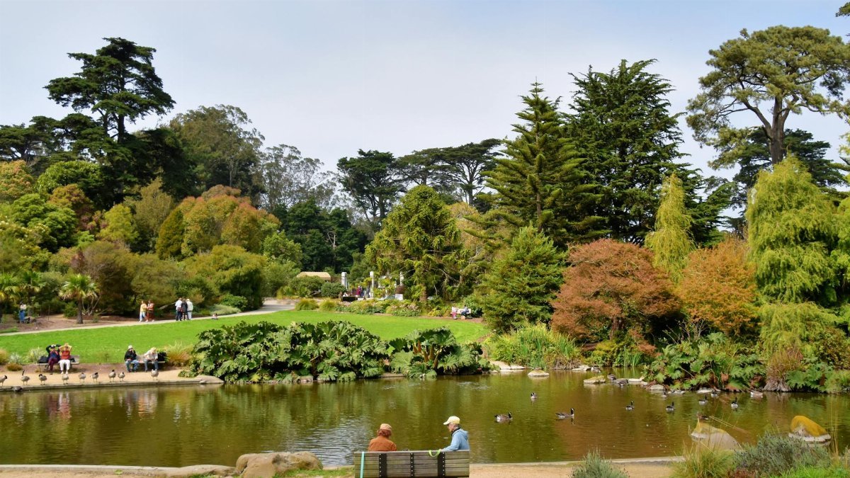 Serene summer day at Golden Gate Park, San Francisco, with people enjoying nature by the lake.