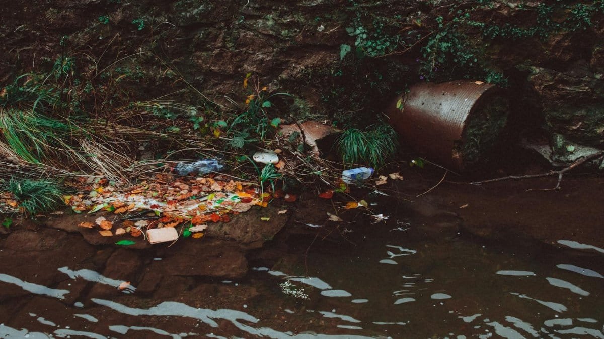 A riverbank littered with trash, highlighting environmental pollution and the need for recycling efforts.