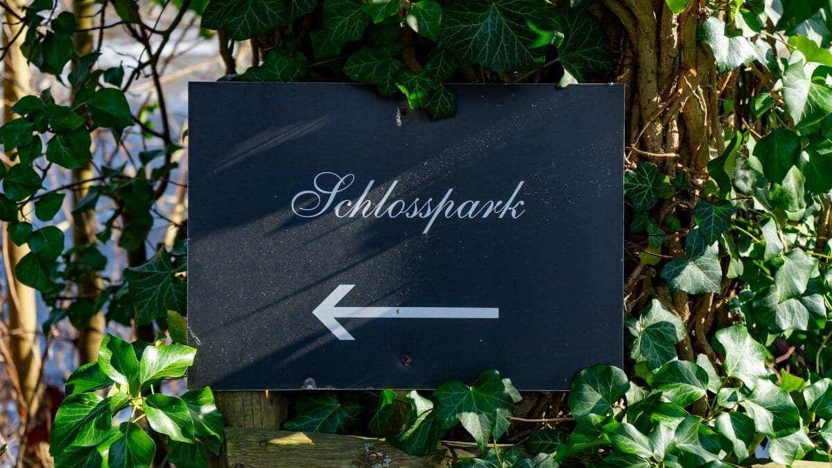 Signage for Schlosspark with arrow, surrounded by lush green ivy on a sunny day.