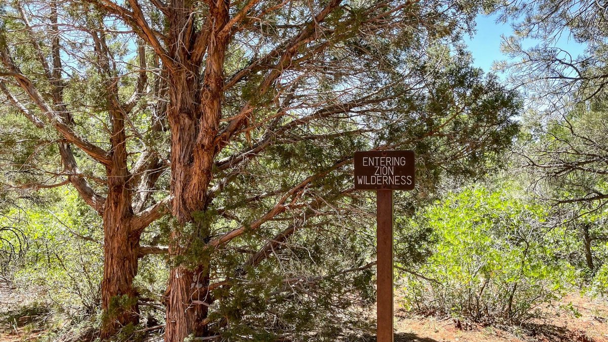 A scenic view of a sign at the entrance to Zion Wilderness with lush trees in the background.