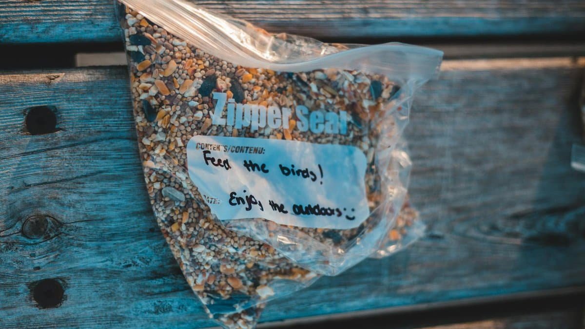 From above of transparent plastic zipper bag with bird feed and titles on wooden plank