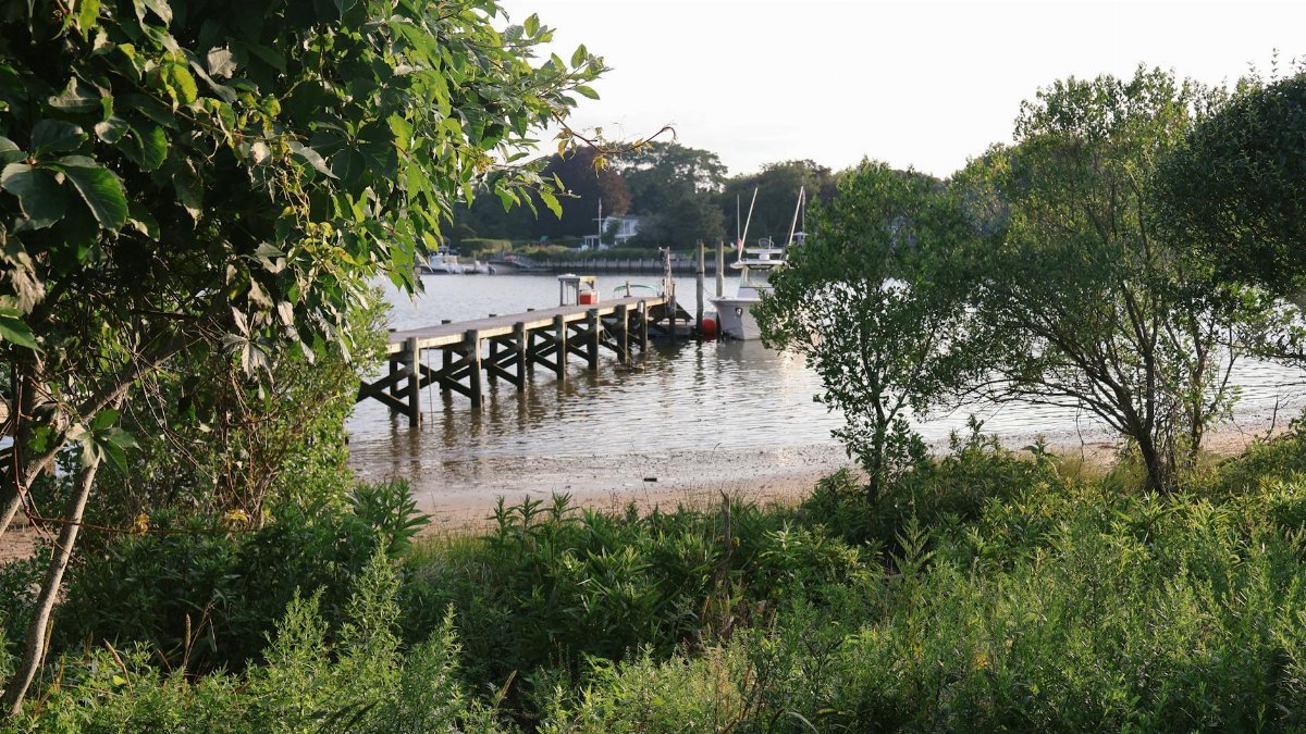 Scenic view of a pier surrounded by lush greenery in Hampton Bays, NY on a summer day.