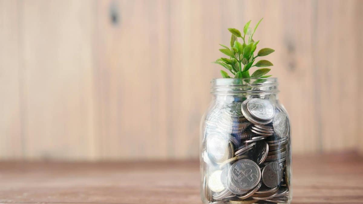 A jar filled with coins and a plant symbolizes growth in savings and investment.