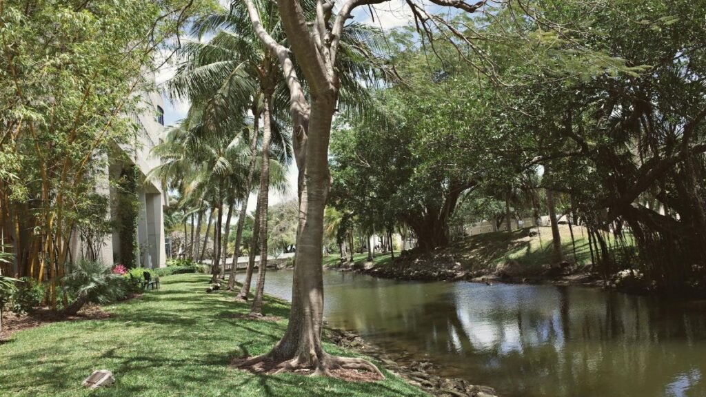 Lush green university campus by a river in Coral Gables, Florida, USA.