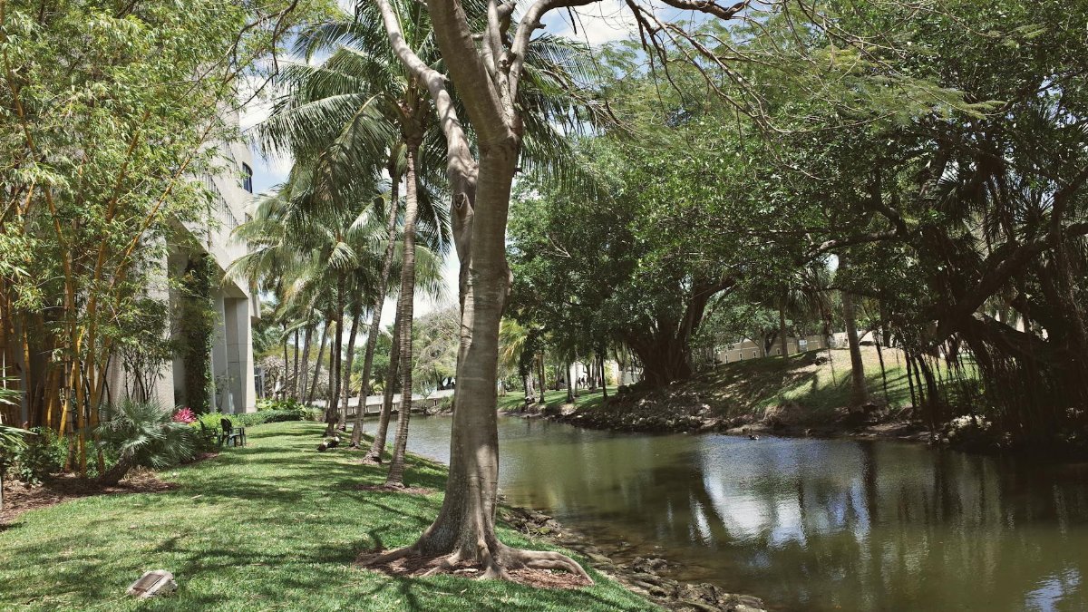 Lush green university campus by a river in Coral Gables, Florida, USA.