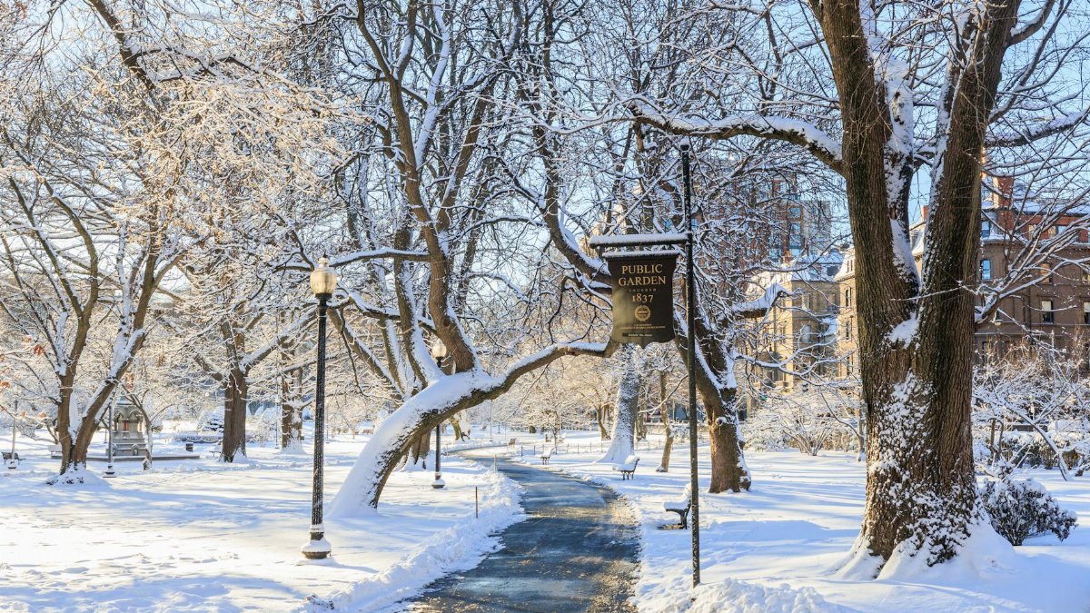 A picturesque winter scene of the Boston Public Garden with snow-covered trees and path.