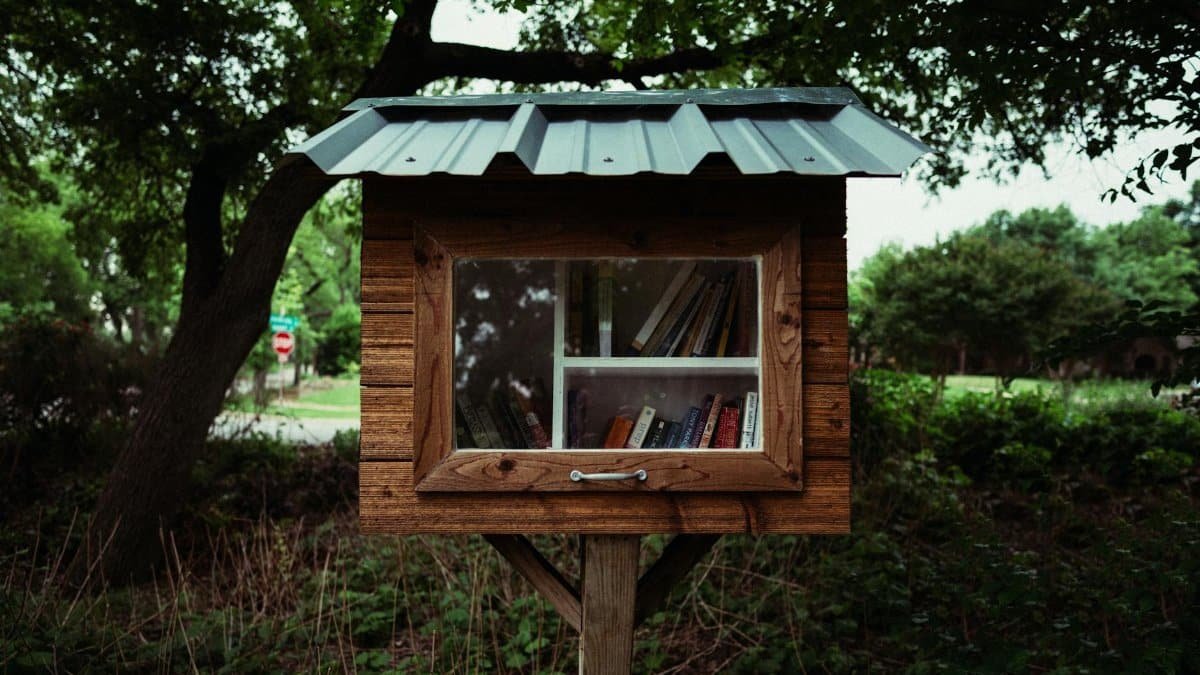 Rustic outdoor little free library surrounded by lush greenery, perfect for community sharing.
