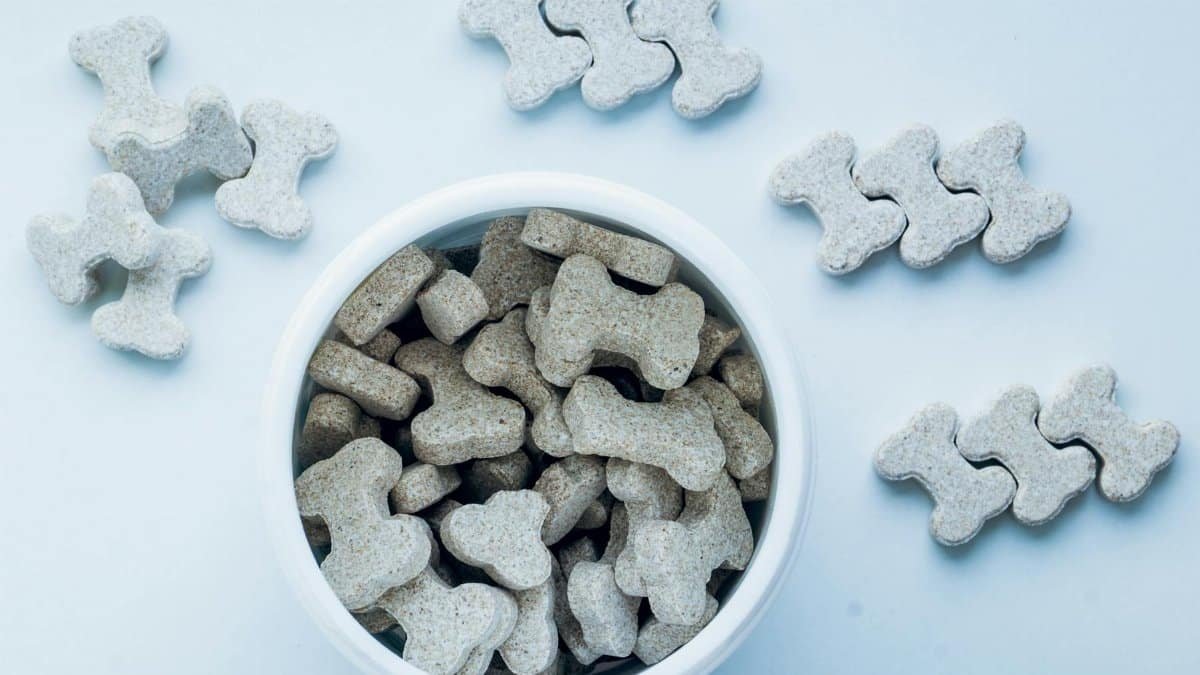 Top view of bone-shaped dog treats in a white bowl, on a light blue background.