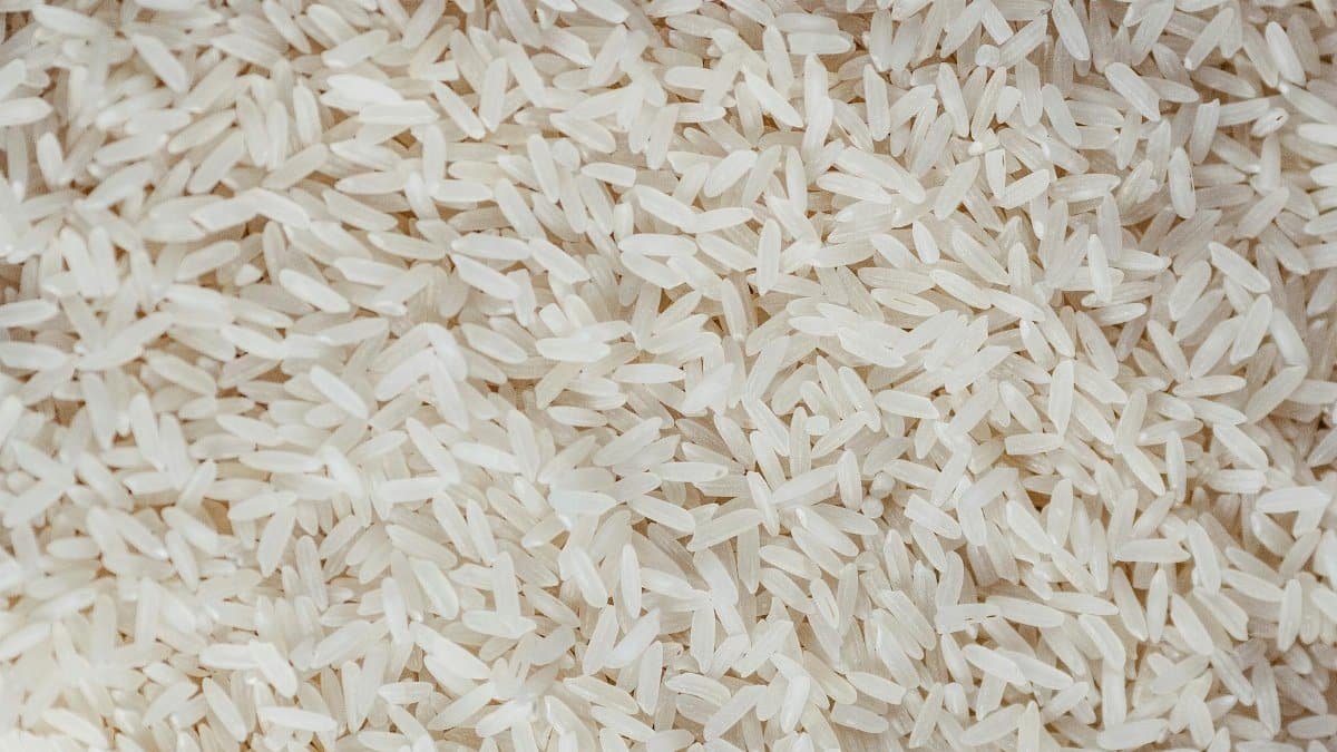 Macro shot of uncooked white rice grains, showcasing texture and color.