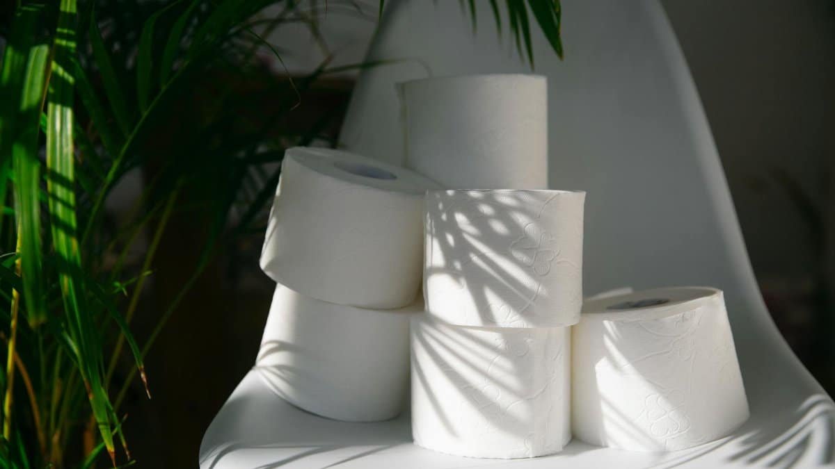 Toilet rolls stacked on a chair with natural plant shadows, indoor setting.