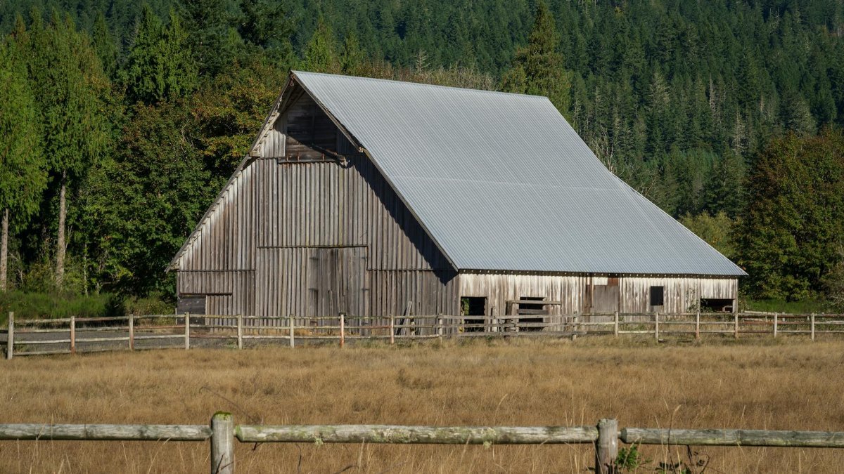 A rustic barn surrounded by trees and grass in rural Washington state.