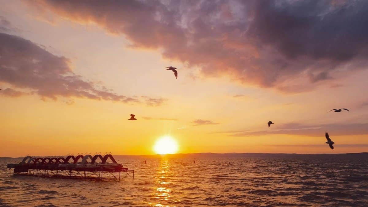 Breathtaking sunset with seagulls over Lake Balaton in Siófok, Hungary.