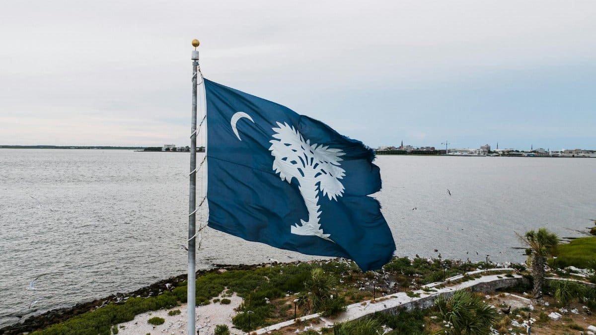 South Carolina flag waving at waterfront with Charleston skyline.