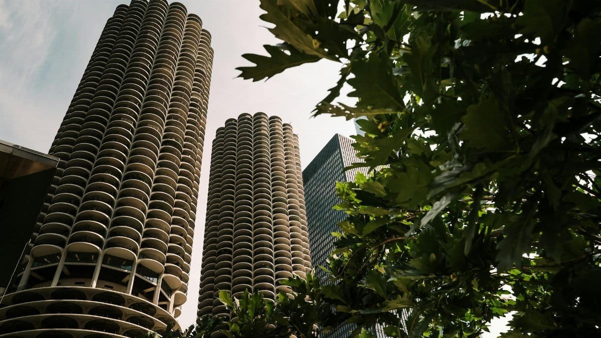 View of iconic Marina City Towers in Chicago framed by lush greenery, highlighting urban architecture.