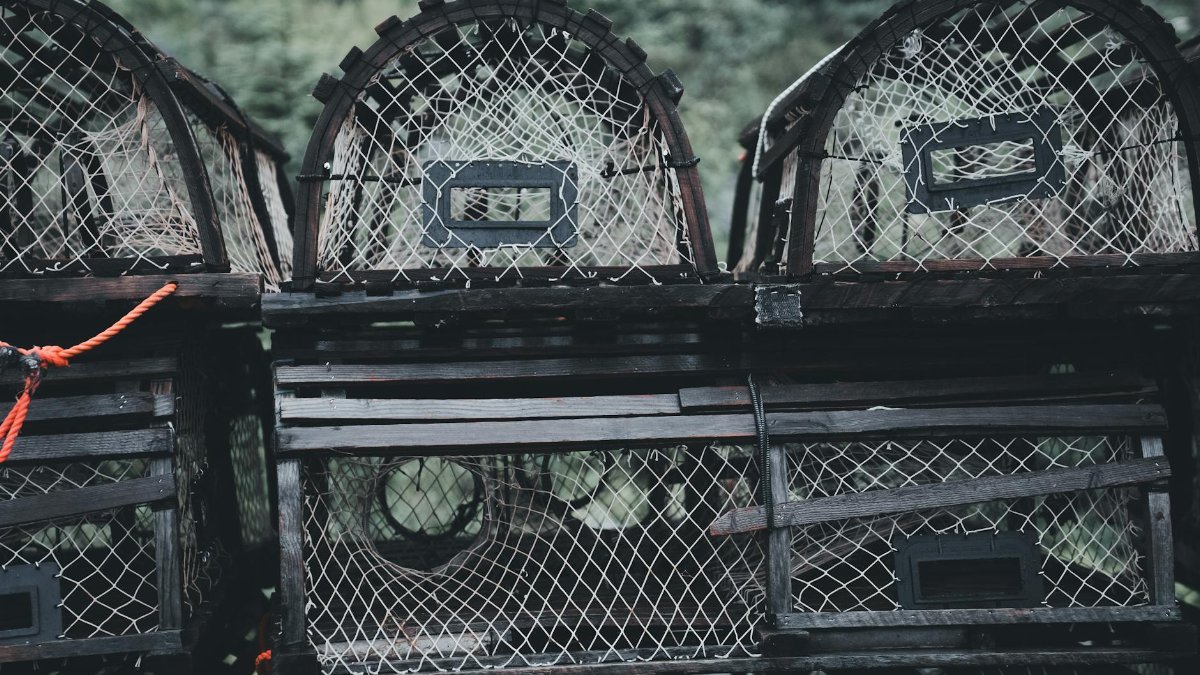 A moody scene of stacked lobster traps with netting, perfect for marine themes.