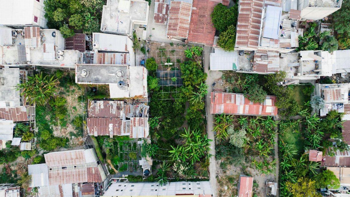 Drone shot capturing city rooftops and lush greenery from above.