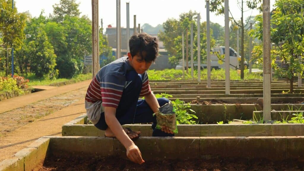 A young man planting seeds in a sunny community garden in Jawa Barat, Indonesia.