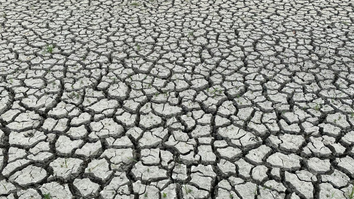 A dry, cracked earth surface illustrating the effects of drought and climate change.