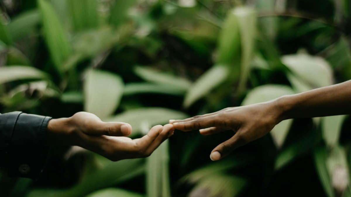 A close-up of two hands reaching towards each other against a backdrop of tropical leaves, symbolizing connection.