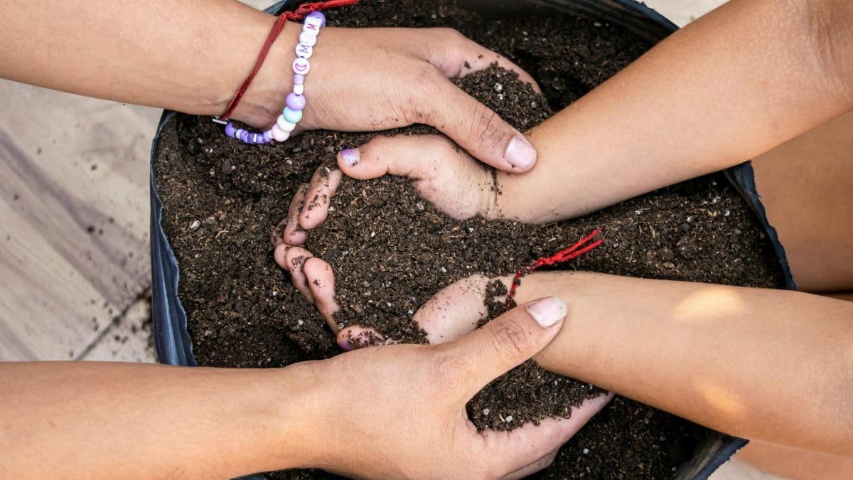 Close-up of diverse hands nurturing soil, symbolizing unity and environmental care.