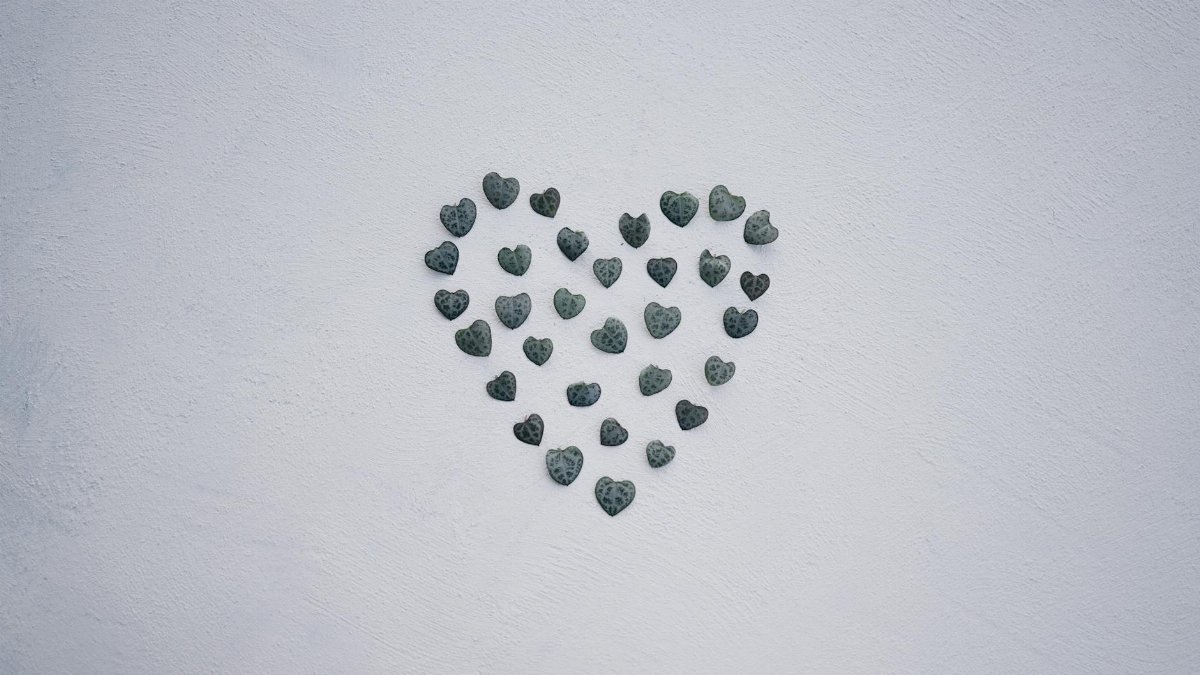 Artistic heart shape made of pebbles on a textured white wall, perfect for minimal decor.