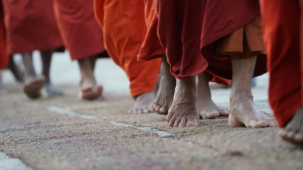 Barefoot Buddhist monks in orange robes walking peacefully, highlighting spiritual tradition in Sri Lanka.