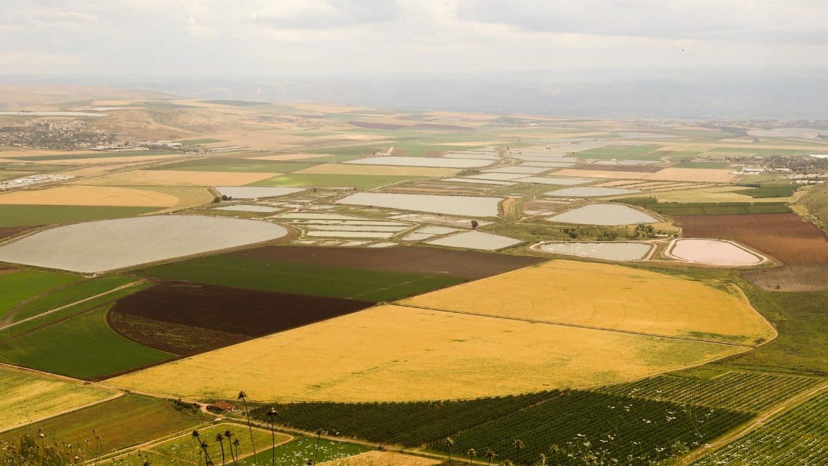 Aerial view showcasing vast countryside fields and crop patterns, perfect for agriculture themes.
