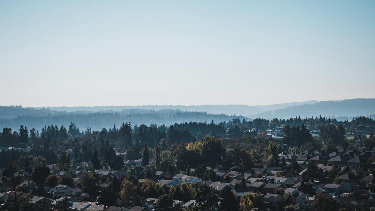 Captivating aerial view of Happy Valley suburbs against misty hills and forest backdrop.