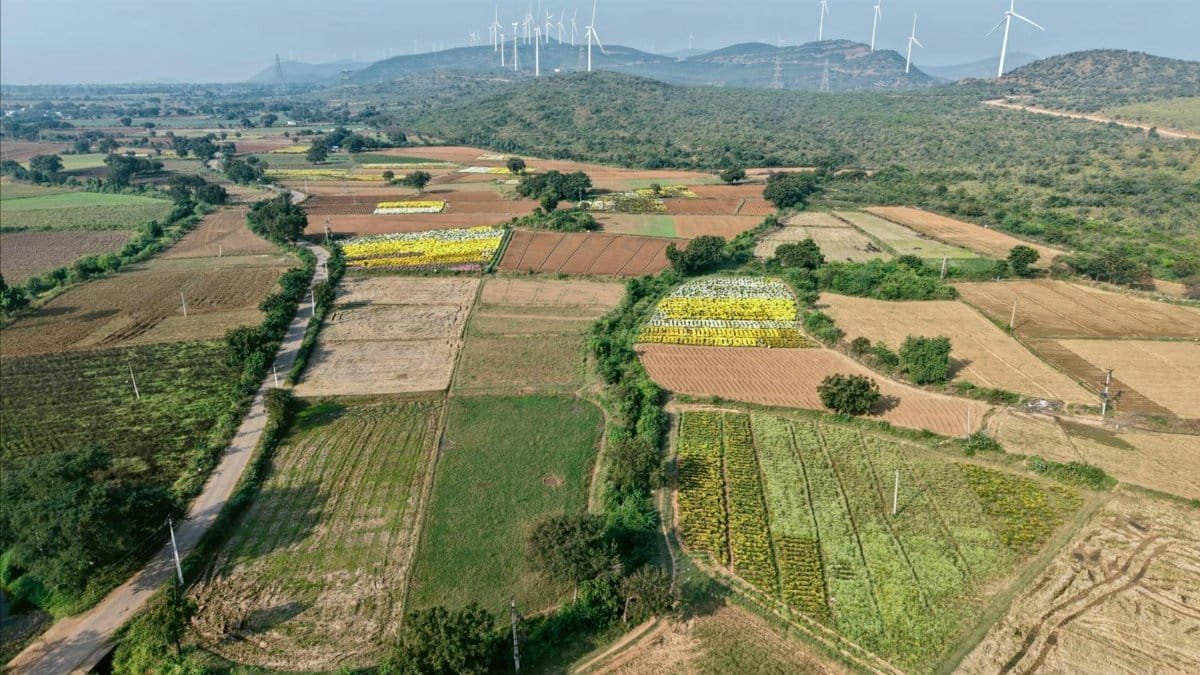 Beautiful aerial landscape of colorful fields and wind turbines in a rural setting.