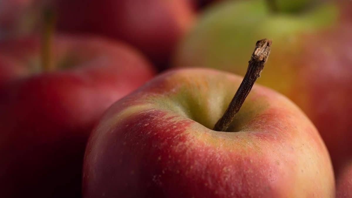 Vibrant close-up of fresh apples with stems showcasing natural texture and colors.