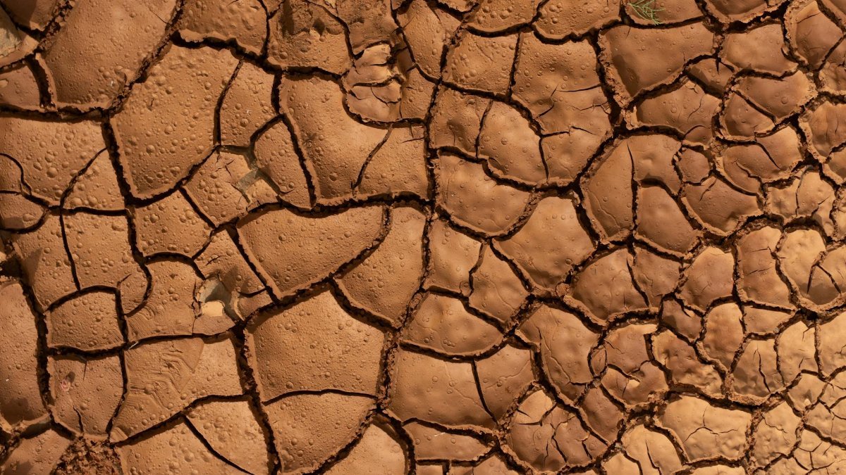 Close-up of dry, cracked earth with detailed texture and warm sunlight highlighting the patterns.